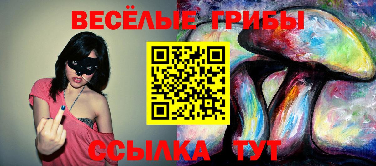 Ипатово  Галлюциногенные грибы прущие грибы  Вход с VPN 